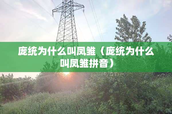 庞统为什么叫凤雏（庞统为什么叫凤雏拼音）