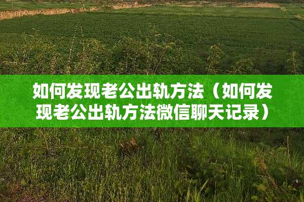 如何发现老公出轨方法（如何发现老公出轨方法微信聊天记录）