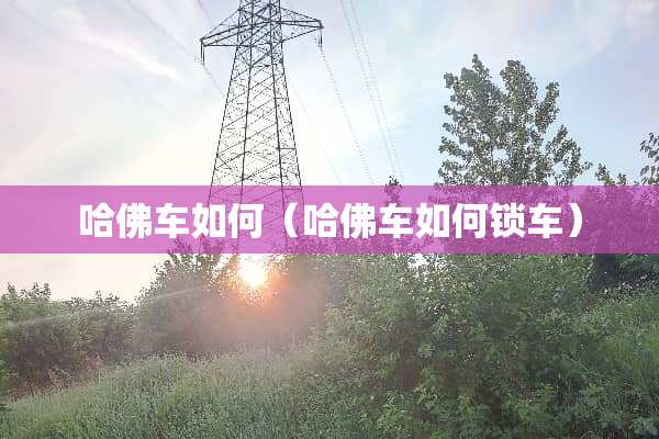 哈佛车如何（哈佛车如何锁车）