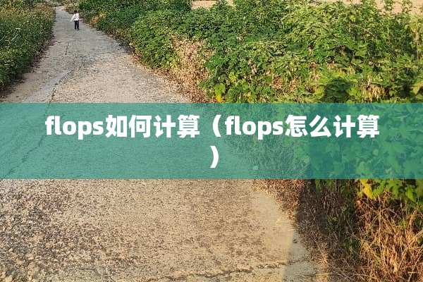 flops如何计算（flops怎么计算）