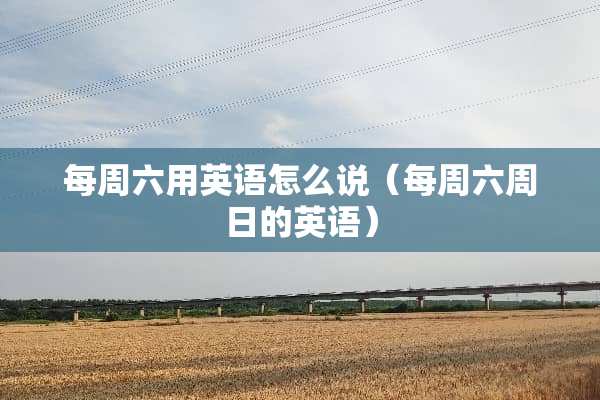 每周六用英语怎么说（每周六周日的英语）