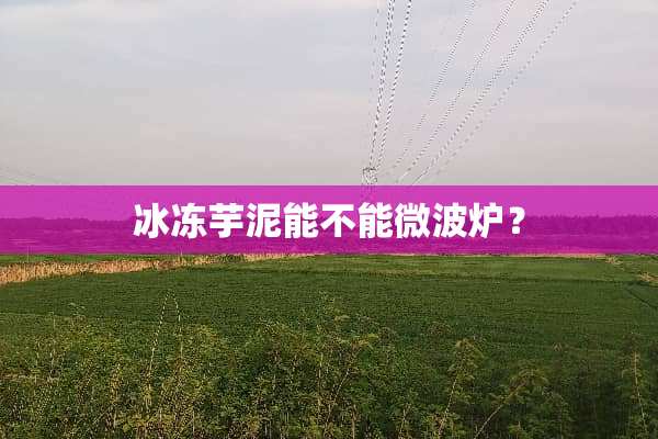 冰冻芋泥能不能微波炉？