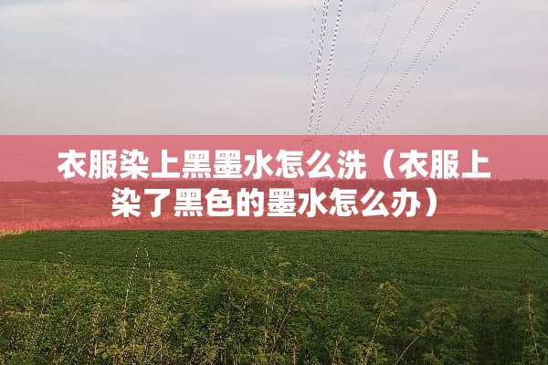衣服染上黑墨水怎么洗（衣服上染了黑色的墨水怎么办）