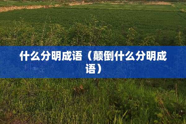 什么分明成语（颠倒什么分明成语）