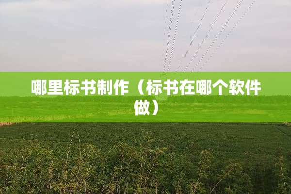 哪里标书制作（标书在哪个软件做）