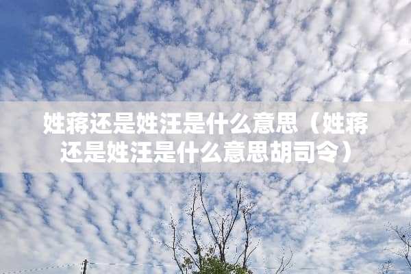 姓蒋还是姓汪是什么意思（姓蒋还是姓汪是什么意思胡司令）