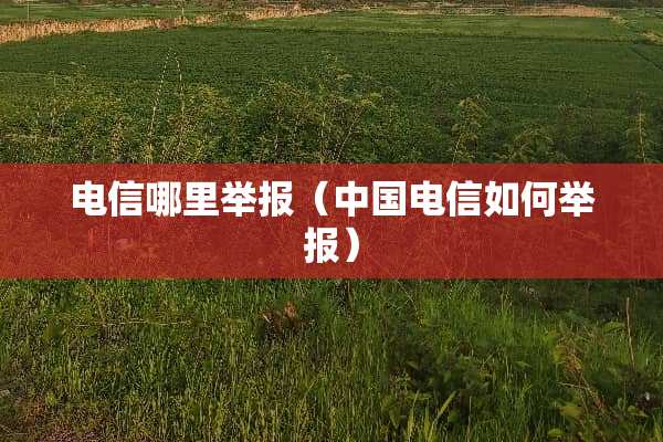 电信哪里举报（中国电信如何举报）