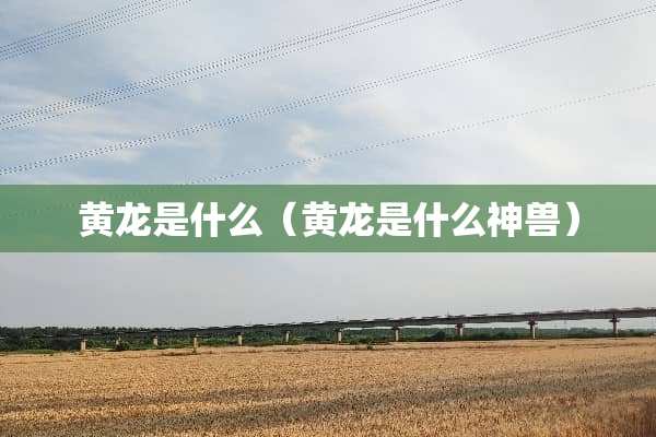 黄龙是什么（黄龙是什么神兽）