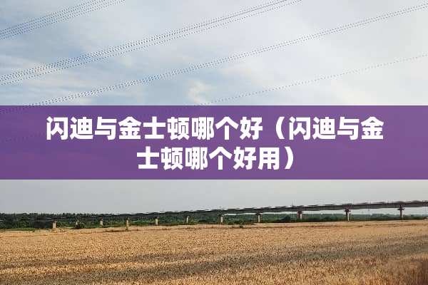 闪迪与金士顿哪个好（闪迪与金士顿哪个好用）