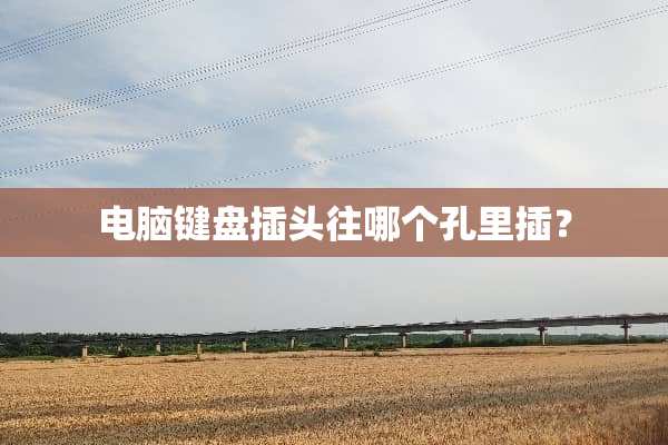 电脑键盘插头往哪个孔里插？