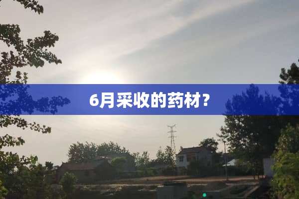 6月采收的药材？