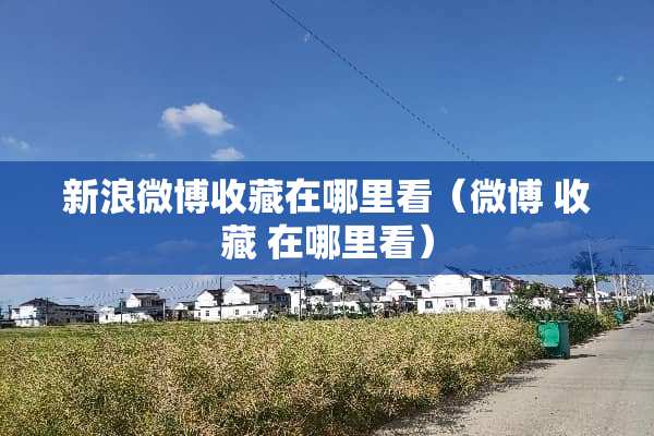 新浪微博收藏在哪里看（微博 收藏 在哪里看）