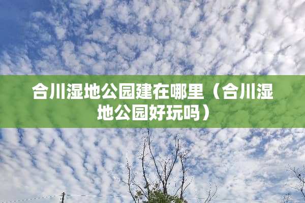 合川湿地公园建在哪里（合川湿地公园好玩吗）
