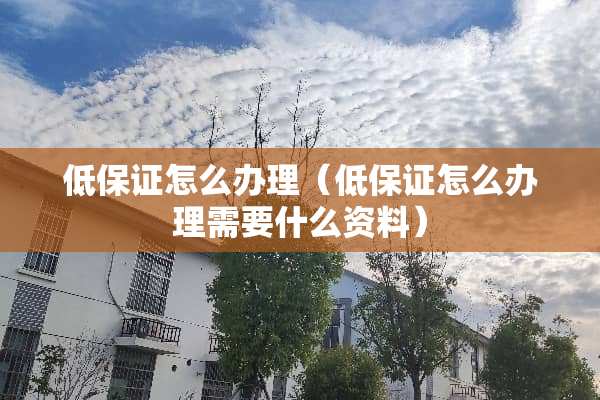 低保证怎么办理（低保证怎么办理需要什么资料）