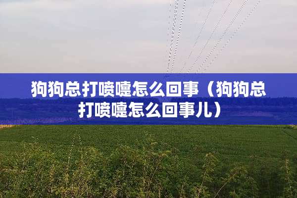 狗狗总打喷嚏怎么回事（狗狗总打喷嚏怎么回事儿）
