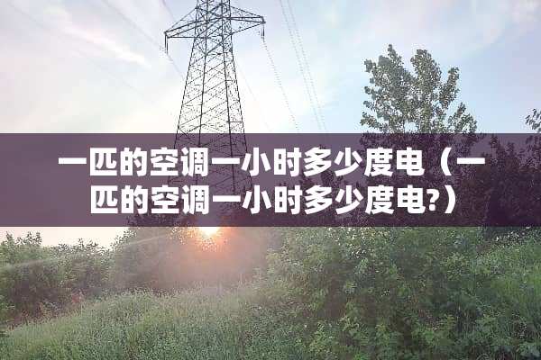 一匹的空调一小时多少度电（一匹的空调一小时多少度电?）