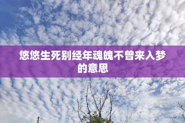 悠悠生死别经年魂魄不曾来入梦的意思