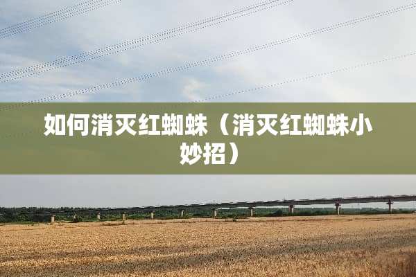 如何消灭红蜘蛛（消灭红蜘蛛小妙招）