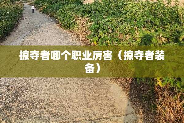 掠夺者哪个职业厉害（掠夺者装备）