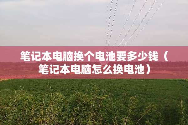 笔记本电脑换个电池要多少钱（笔记本电脑怎么换电池）