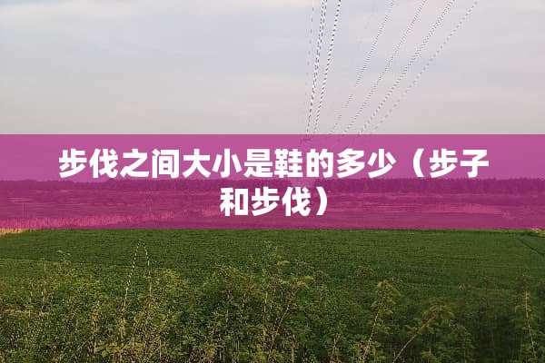步伐之间大小是鞋的多少（步子和步伐）