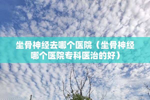 坐骨神经去哪个医院（坐骨神经哪个医院专科医治的好）