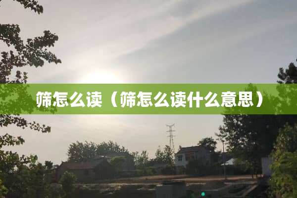 筛怎么读（筛怎么读什么意思）