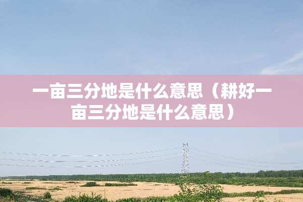 一亩三分地是什么意思（耕好一亩三分地是什么意思）