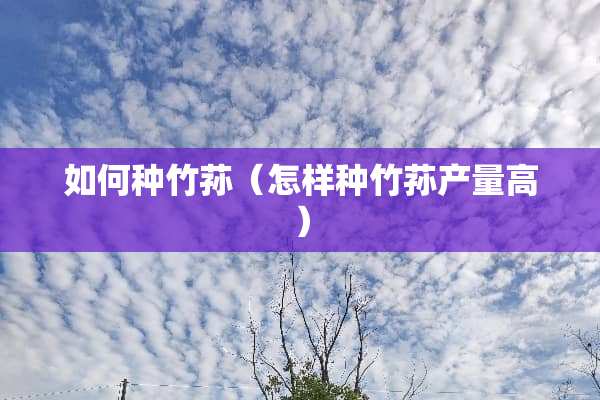 如何种竹荪（怎样种竹荪产量高）