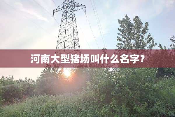 河南大型猪场叫什么名字？