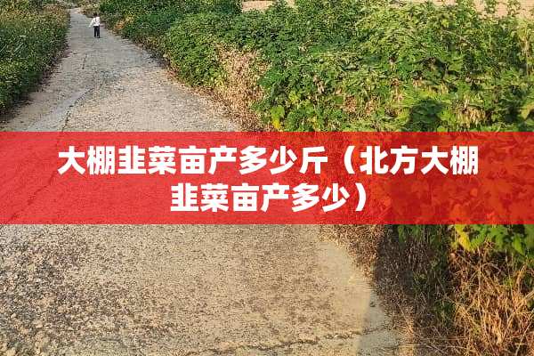大棚韭菜亩产多少斤（北方大棚韭菜亩产多少）