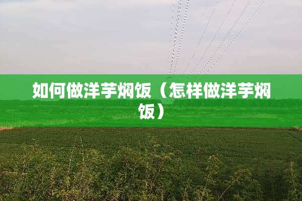 如何做洋芋焖饭（怎样做洋芋焖饭）