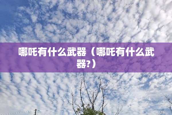 哪吒有什么**（哪吒有什么**?）
