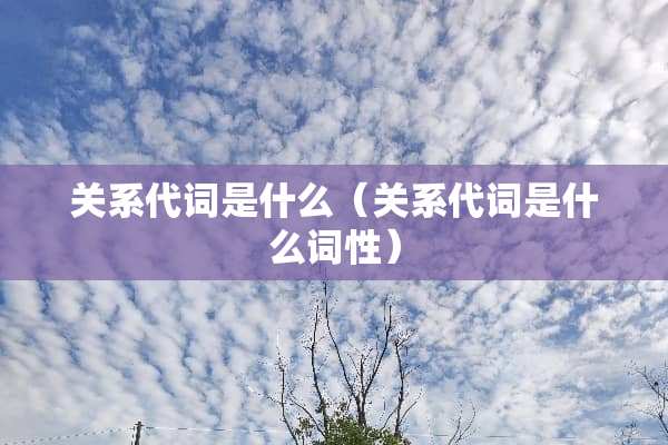 关系代词是什么（关系代词是什么词性）