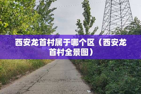 西安龙首村属于哪个区（西安龙首村全景图）