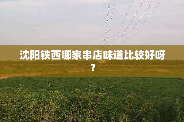 沈阳铁西哪家串店味道比较好呀？