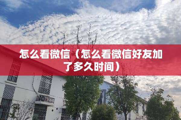 怎么看微信（怎么看微信好友加了多久时间）