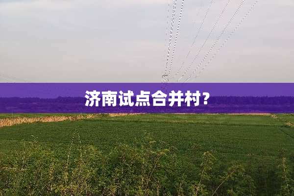 济南试点合并村？