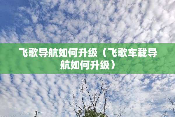 飞歌导航如何升级（飞歌车载导航如何升级）