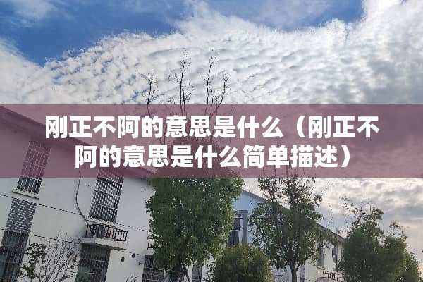 刚正不阿的意思是什么（刚正不阿的意思是什么简单描述）