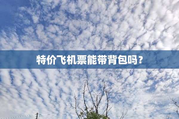 特价***能带背包吗？