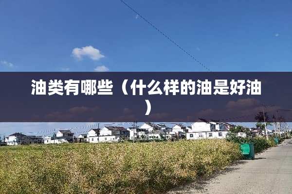 油类有哪些（什么样的油是好油）