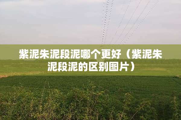 紫泥朱泥段泥哪个更好（紫泥朱泥段泥的区别图片）