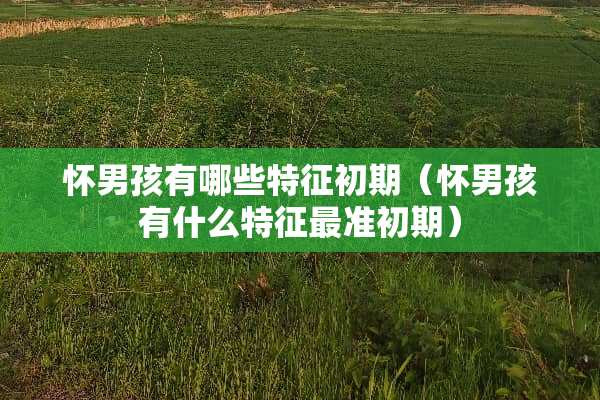 怀男孩有哪些特征初期（怀男孩有什么特征最准初期）