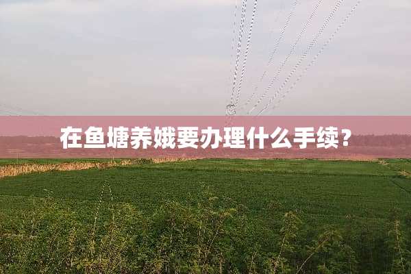 在鱼塘养娥要办理什么手续？