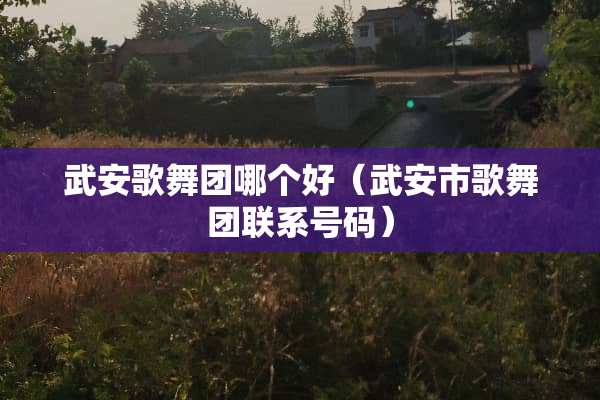 武安歌舞团哪个好（武安市歌舞团联系号码）
