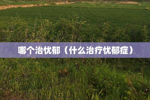 哪个治忧郁（什么治疗忧郁症）