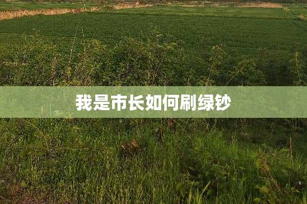 我是市长如何刷绿钞