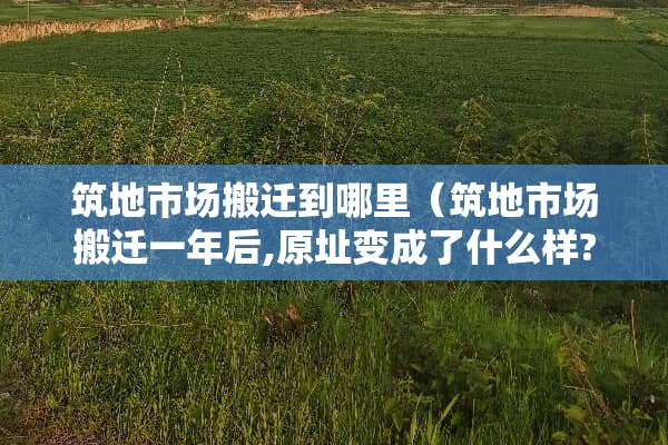 筑地市场搬迁到哪里（筑地市场搬迁一年后,原址变成了什么样?）