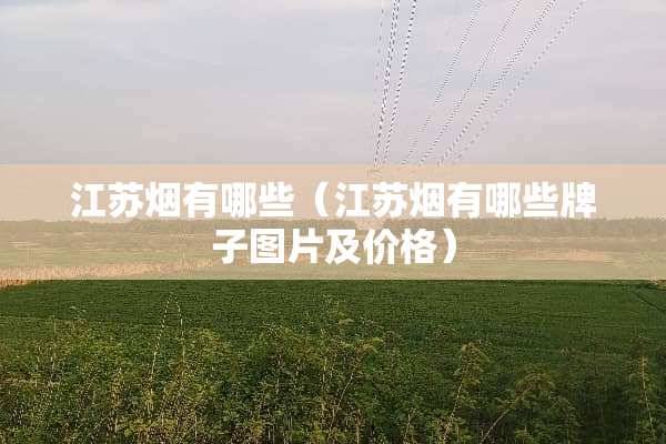 江苏烟有哪些（江苏烟有哪些牌子图片及价格）